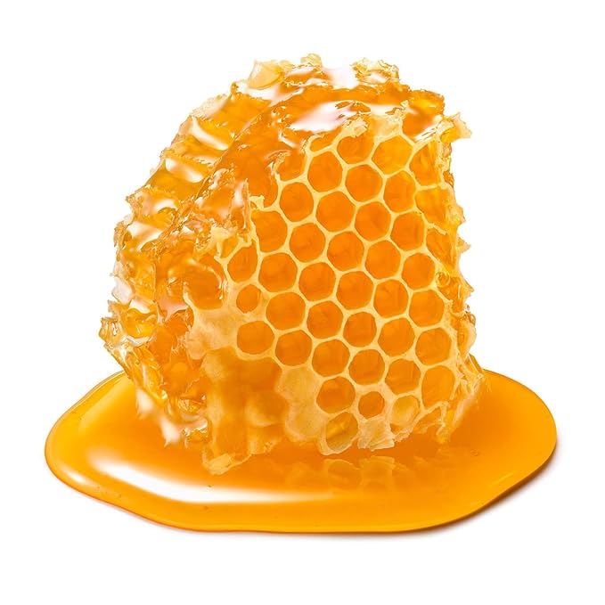 Earth To Skin Honey Manuka Mini Duo Set Day Gel Cream (0.5 Fl Oz) and Night Cream (0.5 Fl Oz) with Hyaluronic Acid & Vitamin E, All-Day & Night Hydration for Face and Neck (2 Pack)