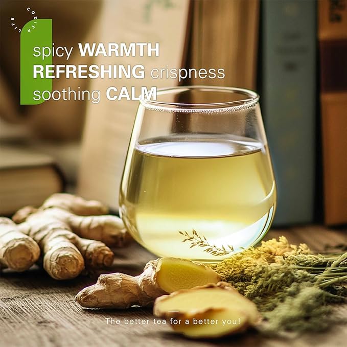 WT WEETEE Organic Ginger Green Tea Bags, Made of Green Tea with Ginger Roots, 100 Warm & Refreshing Low Caffeine Herbal Tea Bags