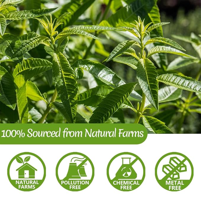 Premium 60 Lemon Verbena Tea Bags, Made with 100% Pure Lemon Verbena Leaves, No Additives & Caffeine Free.