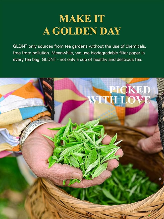 GLDNT Organic Sencha Tea Bags, Natural Organic Sencha Green Tea, Fresh & Smooth Flavor, Iced & Hot Tea, 100 Count