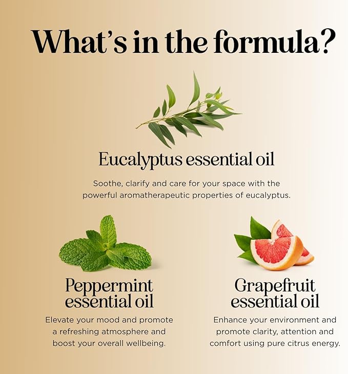 Focus Essential Oil Blend for Diffusers - Citrus and Mint Essential Oils Blend for Energy Focus and Attention Support - Essential Oil for Focus with Aromatherapy Oils for Diffusers and Humidifiers