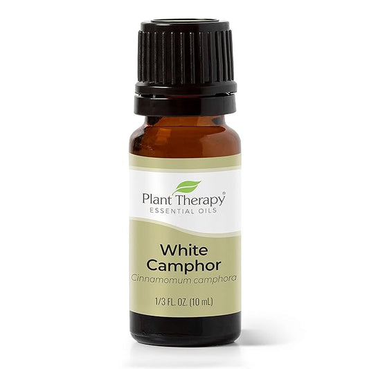 Plant Therapy White Camphor Essential Oil 10 mL (1/3 oz) 100% Pure, Undiluted, Therapeutic Grade