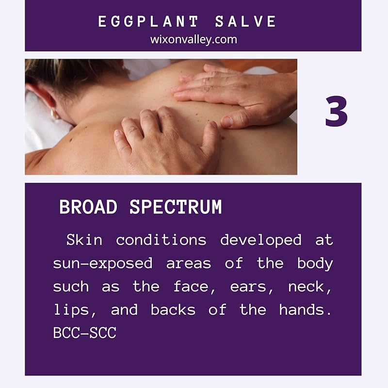 Eggplant Set of Eggplant Salve, Eggplant Oil and Eggplant Tincture for Skin Health Helps to Condition Regenerate Discolored Thickened Scaly Skin Complete Set (3 Items)
