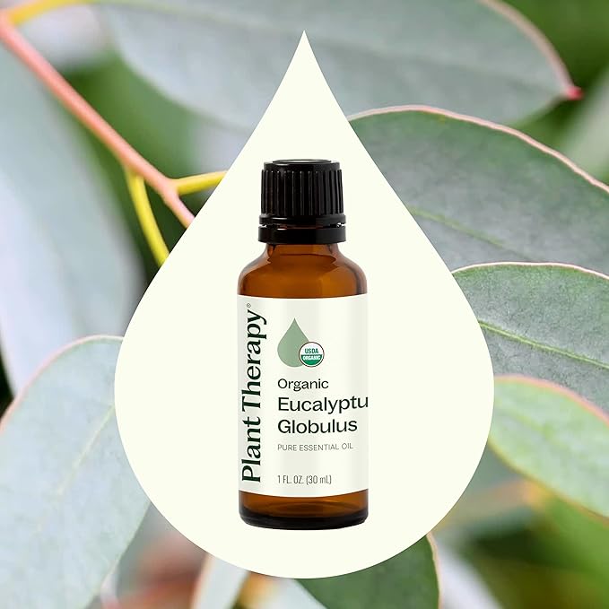 Plant Therapy Organic Eucalyptus Globulus Essential Oil 100% Pure, USDA Certified Organic, Undiluted, Natural Aromatherapy, Therapeutic Grade 30 mL (1 oz)