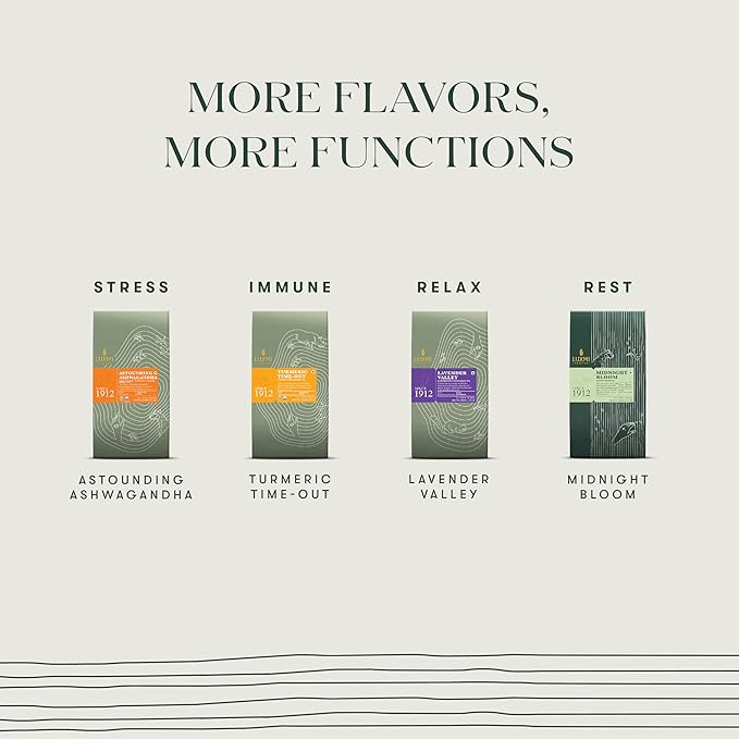 Luxmi Estates Chai Adda-Bari 25 Tea Bags (50g) Pack | Masala Chai | Certified Organic Black Tea