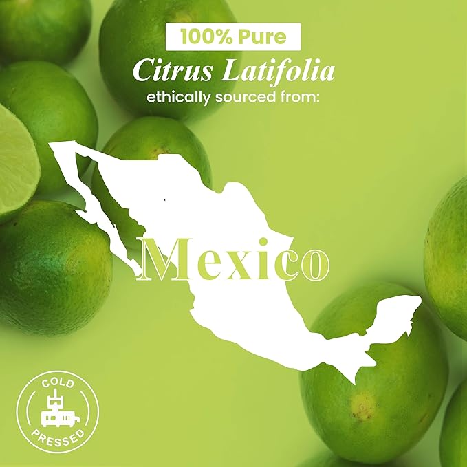 Handcraft Blends Lime Essential Oil - 1 Fl Oz - 100% Pure and Natural - Premium Grade Essential Oil for Diffuser and Aromatherapy