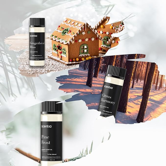 Christmas Fragrance Oil Set, Scentia Winter Fragrance Oils for Diffuser & Candle Making | Pine Frost, Gingerbread Bliss, Citrus Harmony Winter Scented Oils : 3x20ml Pack for Mothers Day Gift