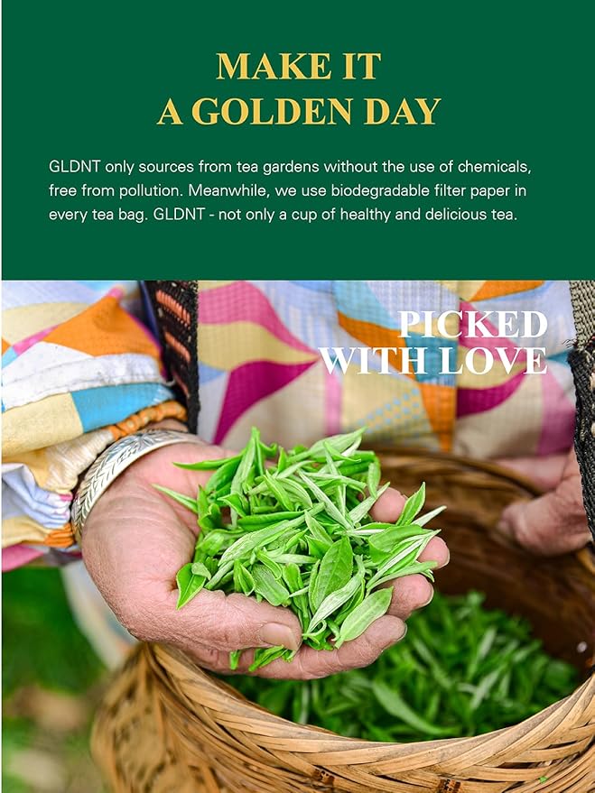 GLDNT Organic Decaf Green Tea Bags, Organic Green Tea Decaffeinated, Smooth Flavor, Super Antioxidant, Iced & Hot Tea, 100 Count