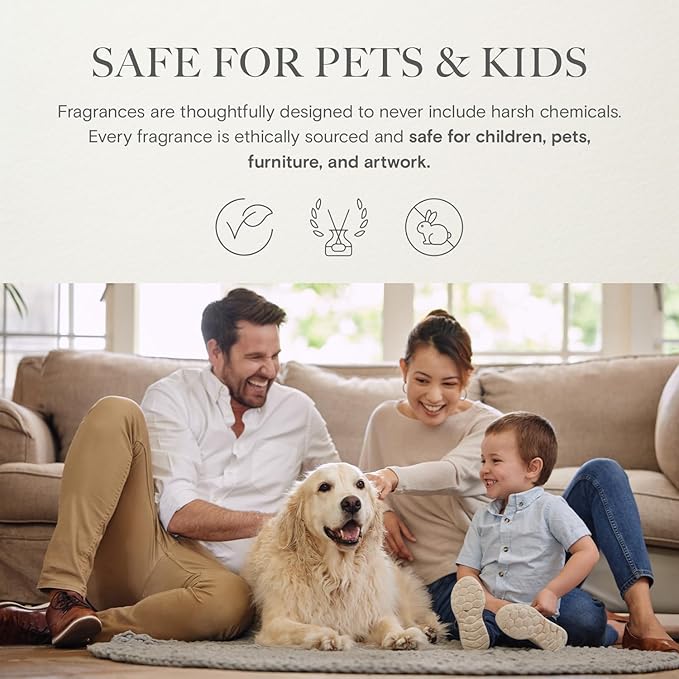 Brilliance Designer Collection Diffuser Oils | Aromatherapy Home Fragrance | Luxurious Scent with Notes of Saffron, Amberwood, Fir Resin (50 mL)