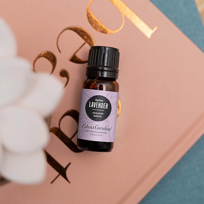 Edens Garden Lavender- Spike Essential Oil- 100% Pure Premium Grade, Undiluted, Natural, Therapeutic, Aromatherapy, The Best for Diffuser, Candle, Laundry, Humidifiers 30 ml (1 fl oz)