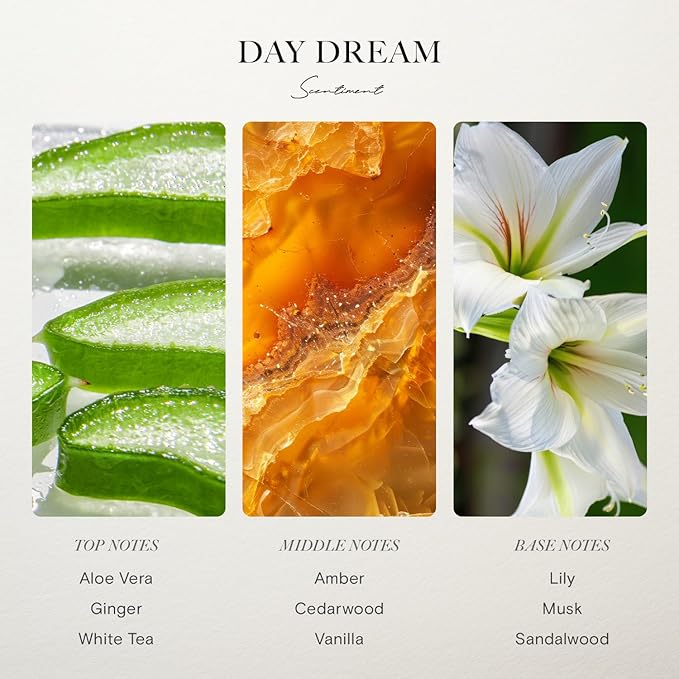 Day Dream Hotel Diffuser Oil | Inspired by Westin® Hotels' Lobby Scent | Aromatherapy Home Fragrance | Luxurious Scent with Notes of Aloe Vera, Cedar, White Tea (20ml)