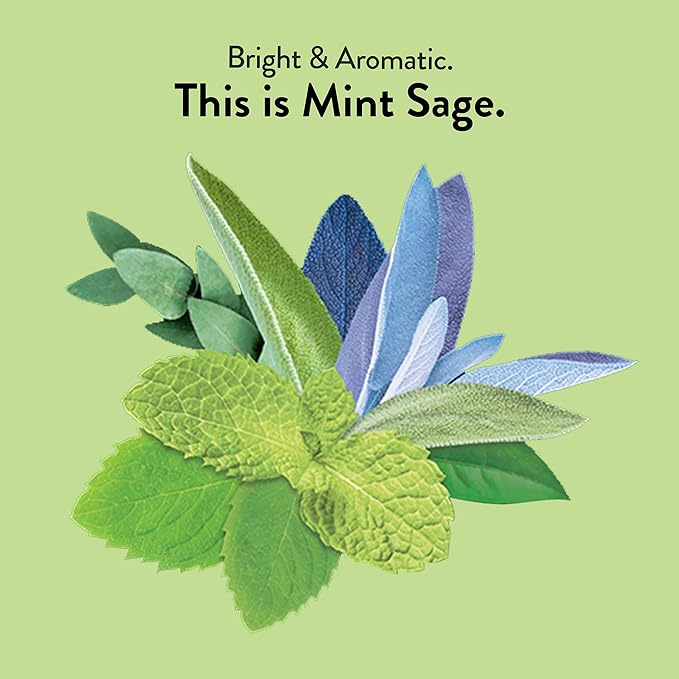 Choice Organic Teas Mint Sage Tea - Organic Herbal Tea - 48 Tea Bags (Pack of 3)