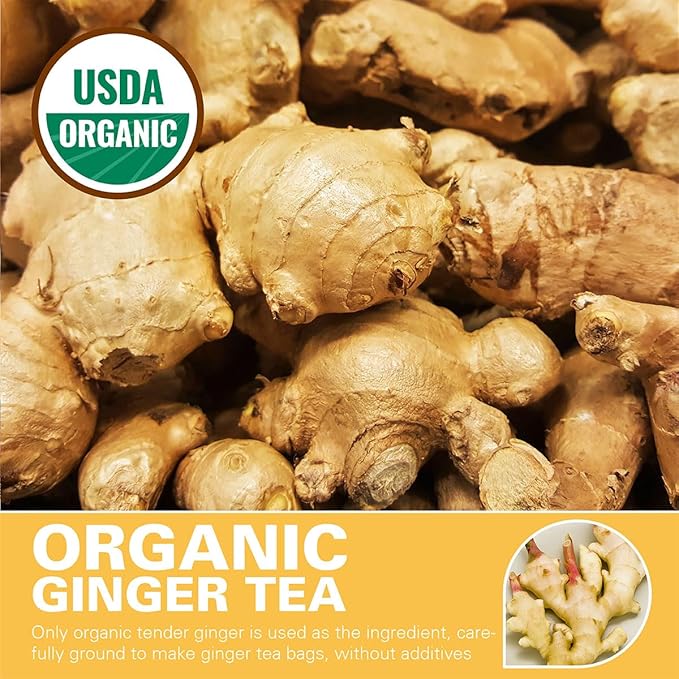 WT WEETEE Organic Ginger Tea Bags, 100% Pure Ginger Root Tea 100 Count, Caffeine Free, No Spices, No Flavors