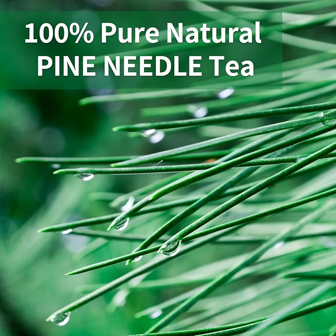 Wild Pine Needle Tea Bags - 60bags/6.4 Oz 100% Pure & Natural Pine Needle Herbal Tea, Caffeine Free, No Additives, No Sugar, Non-gmo, No Gluten