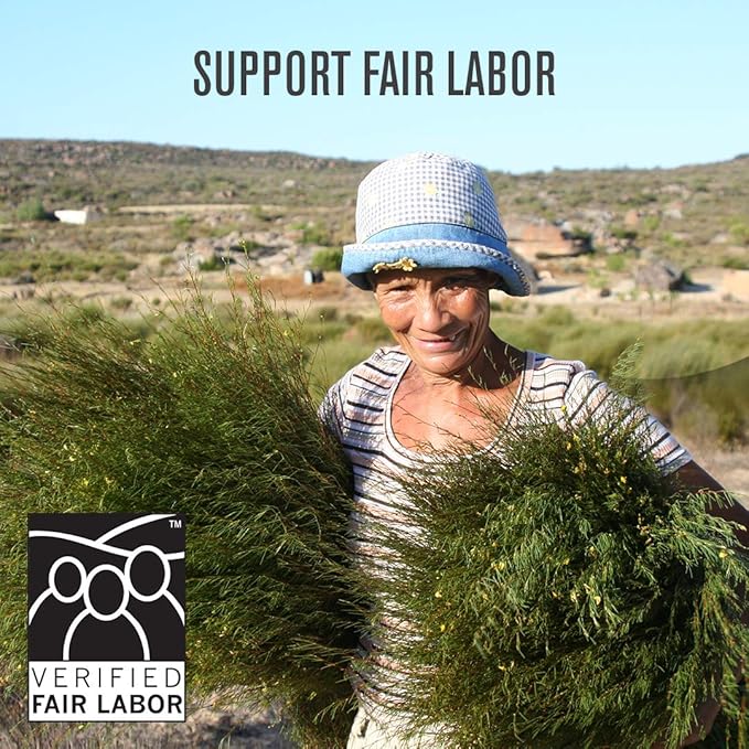 Numi Organic Rooibos Tea Variety Pack, 18 Tea Bags (Pack of 3), Chocolate Rooibos, Rooibos Chai, Rooibos (Packaging May Vary)