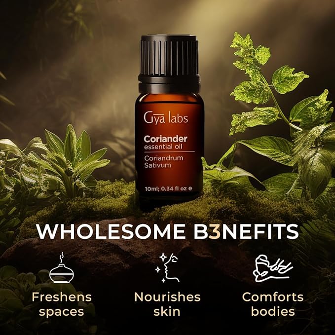 Gya Labs Coriander Essential Oil for Diffuser - 0.34 Fl Oz - 100% Pure Natural Coriander Oil for Skin, Aromatherapy, Skincare Massages & Candles Making - Sweet Spicy Scent DIY
