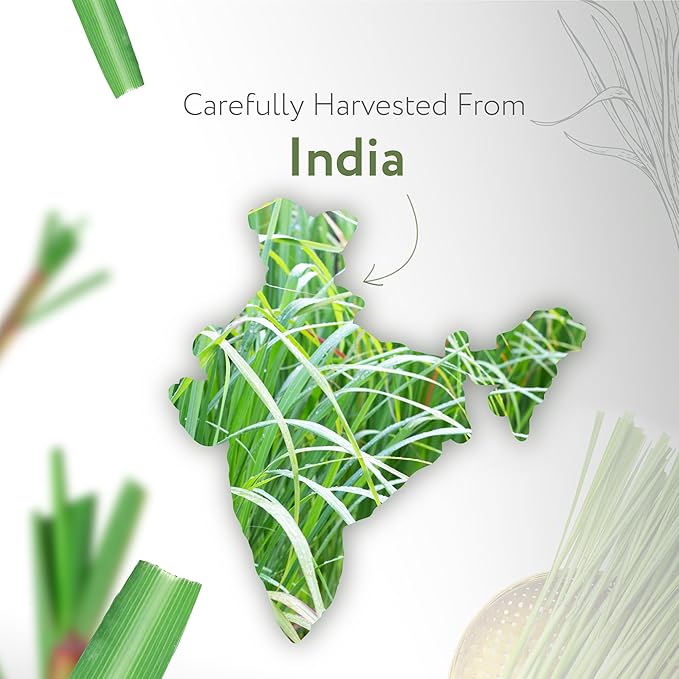 HBNO California Bottled Lemongrass Essential Oil 4 fl oz (120ml) - Natural Lemongrass Oil, Perfect for Cleaning, Aromatherapy, DIY, Soap & Diffuser - Lemongrass Essential Oils