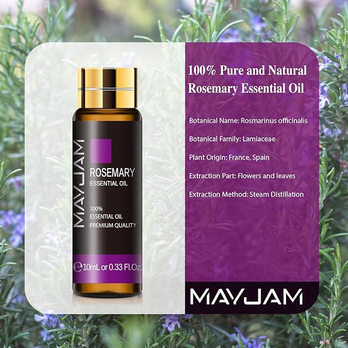 Rosemary Essential Oil 10ML, Pure Essential Oils for Massage, Diffusers, Rosemary Oil for Soap Candle Making (0.33FL.OZ Bottle)
