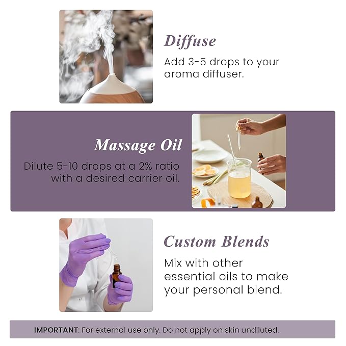 Handcraft Blends Camphor Essential Oil - Huge 4 Fl Oz - 100% Pure and Natural - Premium Grade Essential Oil for Diffuser and Aromatherapy