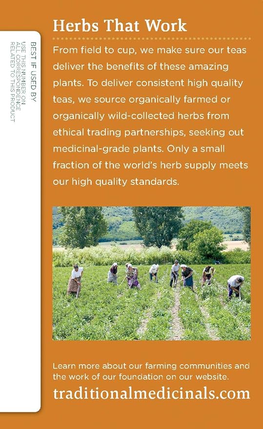 Traditional Medicinals Organic Gas Relief Chamomile Mint Herbal Tea, Relieves Gas & Bloating, (Pack of 1) - 16 Tea Bags