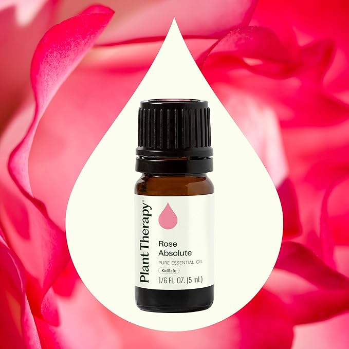 Plant Therapy Rose Absolute Essential Oil 100% Pure, Undiluted, Natural Aromatherapy, Therapeutic Grade 5 mL (1/6 oz)