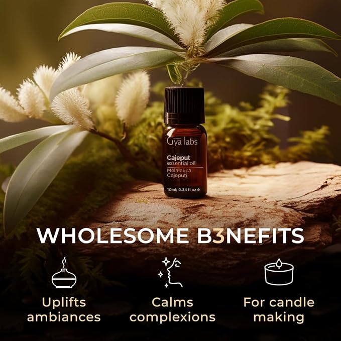 Gya Labs Cajeput Essential Oil for Diffuser - 0.34 Fl Oz - 100% Pure Natural Cajeput Oil for Skin, Aromatherapy, Candle Making - Fresh Herbaceous Scent