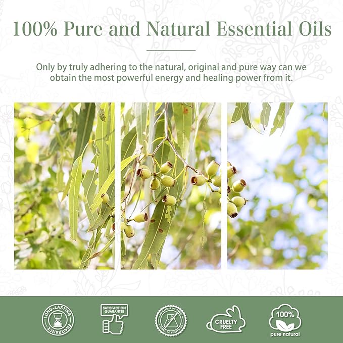 Lemon Eucalyptus 1.01fl.oz Essential Oil, PHATOIL Pure Aromatherapy Oils for Diffuser, Humidifier, Perfect for DIY Soap, Candle, Bath Bombs Making(30ml)