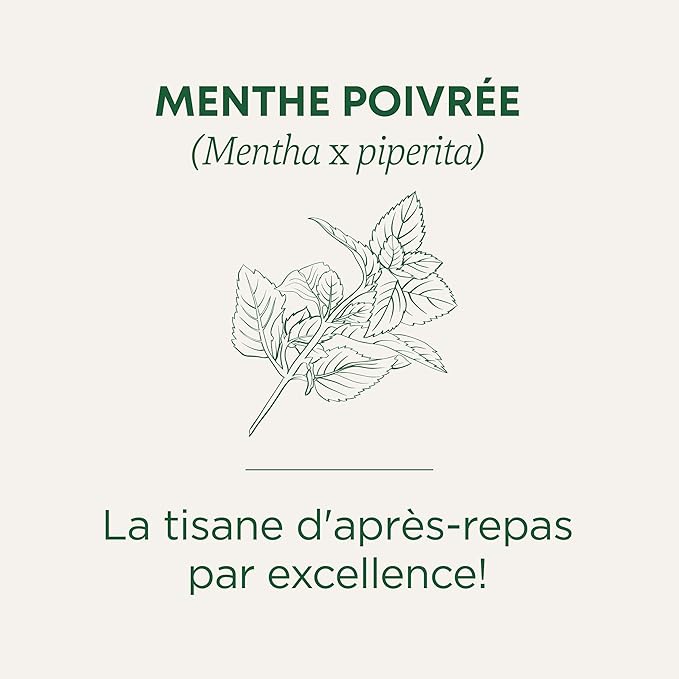 Traditional Medicinals Tea, Organic Peppermint, Soothes Your Belly, Refreshing & Minty, 16 Tea Bags (Pack of 2)