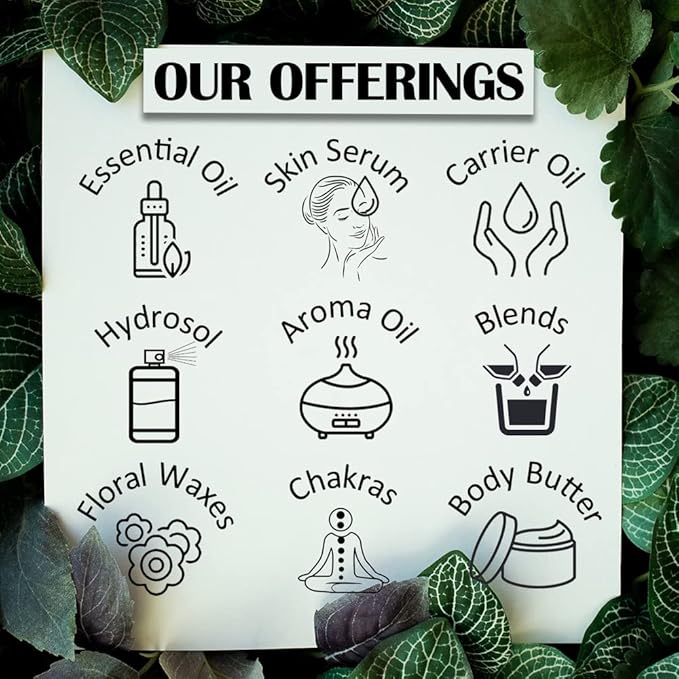 Pure Cananga Java Essential Oil (Cananga odorata) Steam Distilled 50ml (1.69 oz)