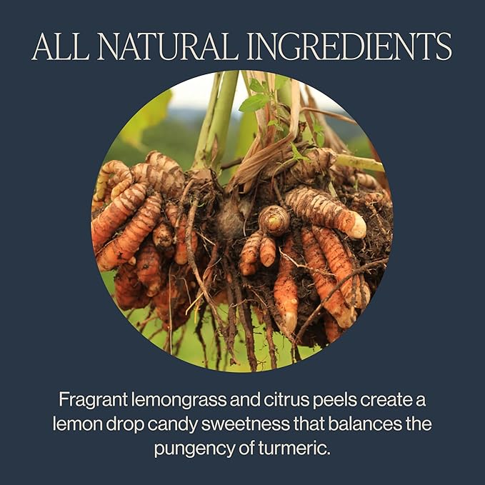 Rishi Tea Turmeric Ginger Herbal Tea - Organic Sachet Bags, Caffeine Free Ayurvedic Digestive Blend with Spicy Ginger & Citrus - 15 Count (Pack of 6)