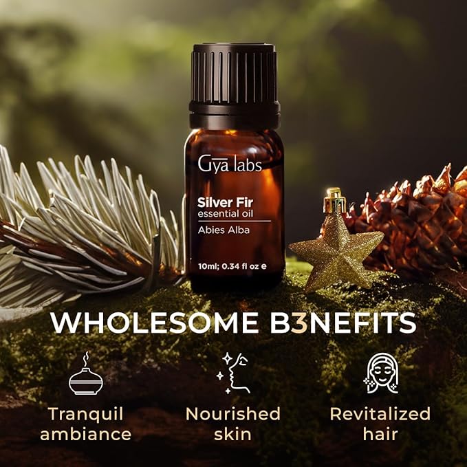 Gya Labs Silver Fir Essential Oil for Diffuser - 0.34 Fl Oz - 100% Pure Natural Silver Fir Oil for Skin, Hair, Aromatherapy & Candles Making - Fresh Woody Scent