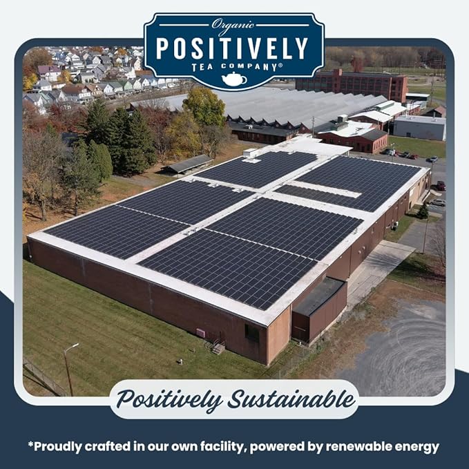 Organic Positively Tea Company, Mango Tango Black Tea, Loose Leaf, 4 Ounce