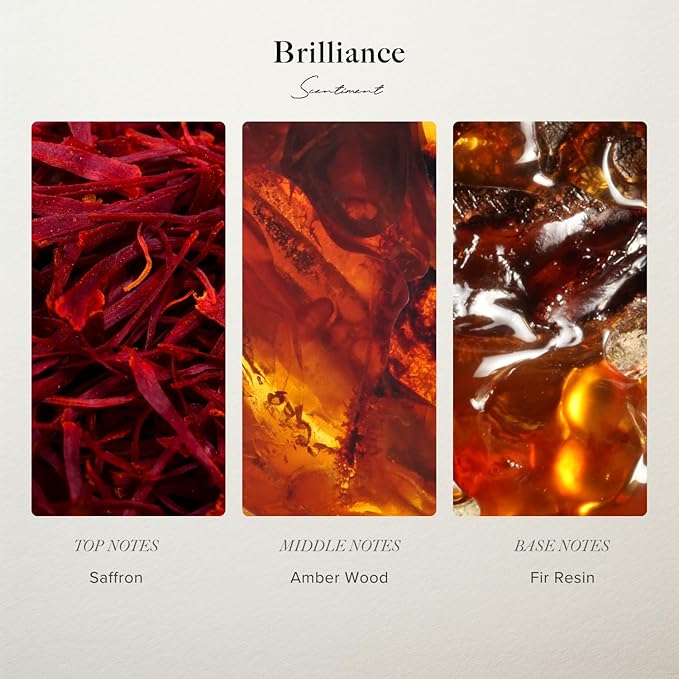 Brilliance Designer Collection Diffuser Oils | Aromatherapy Home Fragrance | Luxurious Scent with Notes of Saffron, Amberwood, Fir Resin (50 mL)