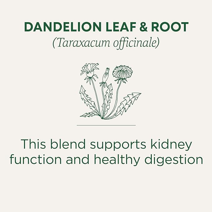 Traditional Medicinals Tea, Organic Dandelion Leaf & Root, Supports Kidney Function & Healthy Digestion, 48 Tea Bags (3 Pack)