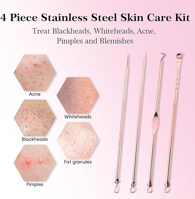 Face Steamer for Facial Deep Cleaning Unclogs Pores, Nano Ionic Warm Mist Humidifier Steamer for Face Home Sauna SPA, Bonus 4 Piece Stainless Steel Skin Kit, Gift for Women