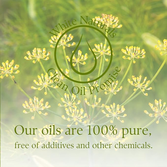 Organic Fennel Essential Oil for Digestion, Sweet Fennel Seed Oil for Congestion Relief & Uplift Mood, 100% Pure, Undiluted, Therapeutic Grade for Aromatherapy, Glowing Skin, Strengthened Hair 1oz