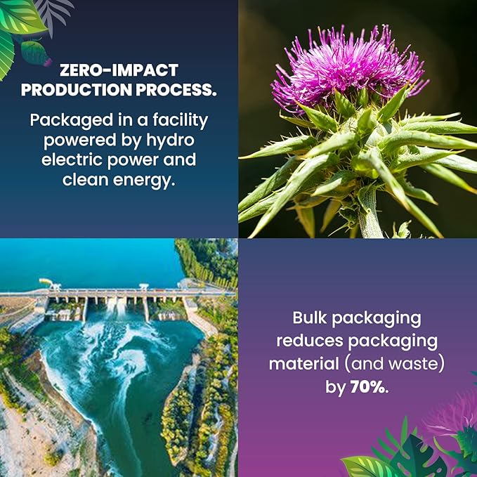 Organic Milk Thistle Tea-100 Tea Bags | Organic Herbal Tea From Single Origin | Eco-Friendly Tea Bags | Non-GMO Caffeine Free Tea With Zero Sugar | Cederberg Tea Company