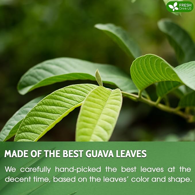 FreshDrinkUS, Premium 75 Guava Leaf Tea Bags, 100% Natural & Pure from Guava Leaves. Loose Leaf Guava Herbal Tea. Guava Leaf Tea. No Sugar, No Caffeine, No Gluten, Vegan.