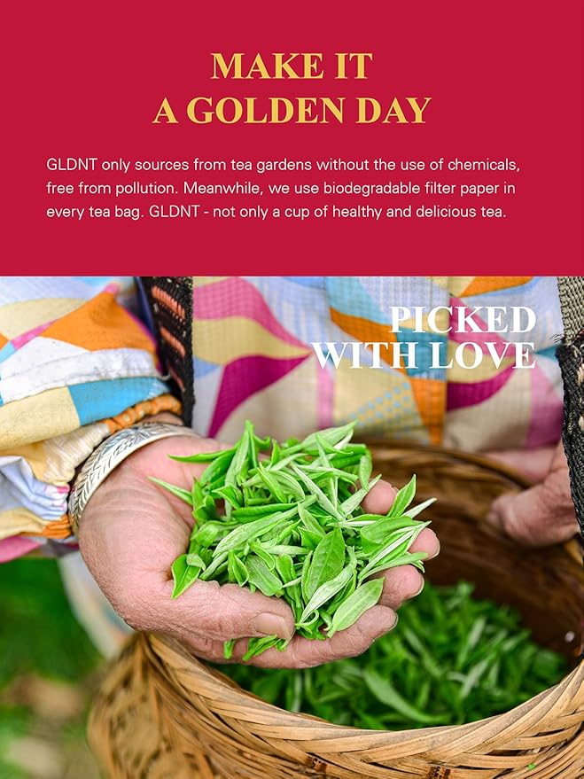 GLDNT Organic Decaf Black Tea Bags, Organic Black Tea Decaffeinated, Smooth Taste, Iced & Hot Tea, 100 Count