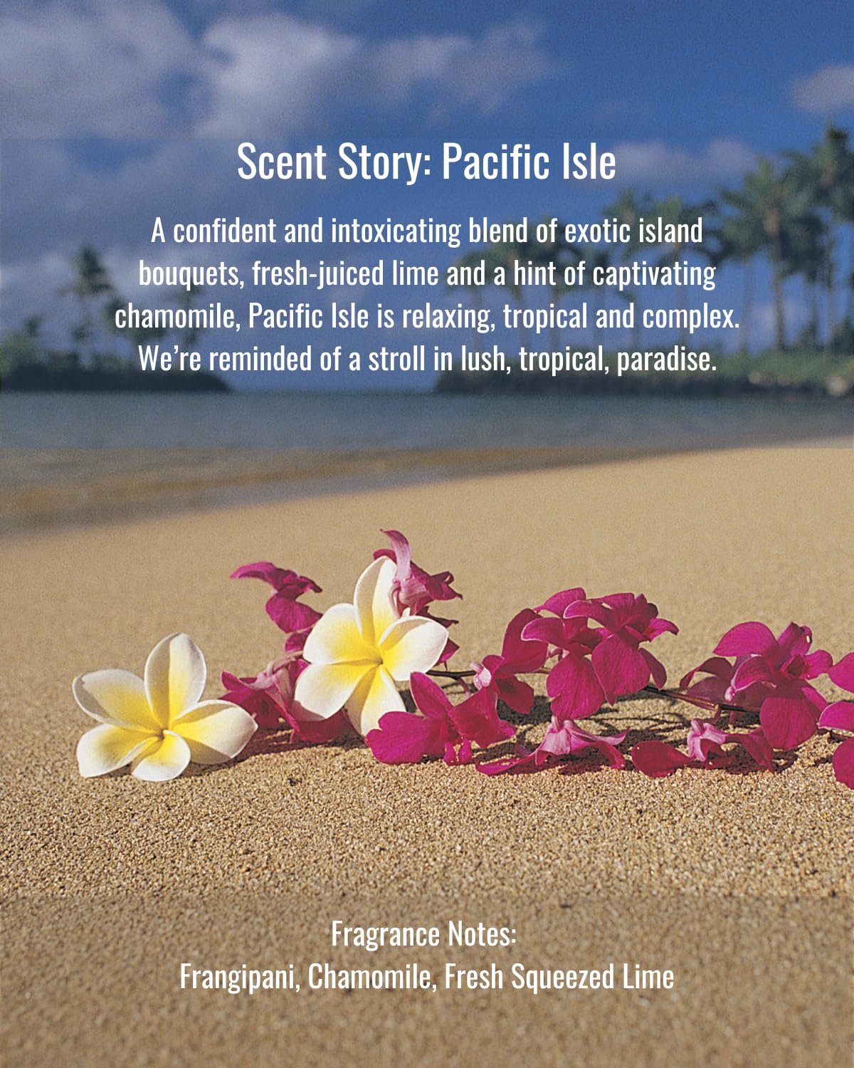 Hines+Young Travel Tins Gift Set - 4 oz Body Cream, 2 oz Linen Spray, Natural Lip Balm - Skin Care and Refreshing Home Fragrance, Ideal Self-Care Gift Set (Pack of 3, Pacific Isle)