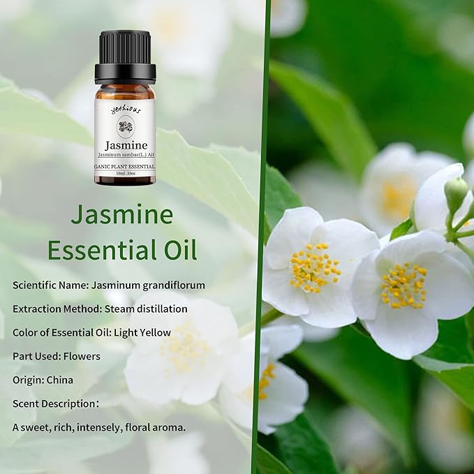 yethious Jasmine Lavender Essential Oil Set Organic Pure for Jasmine Essential Oil for Diffuser & Aromatherapy Lavender Oil Set