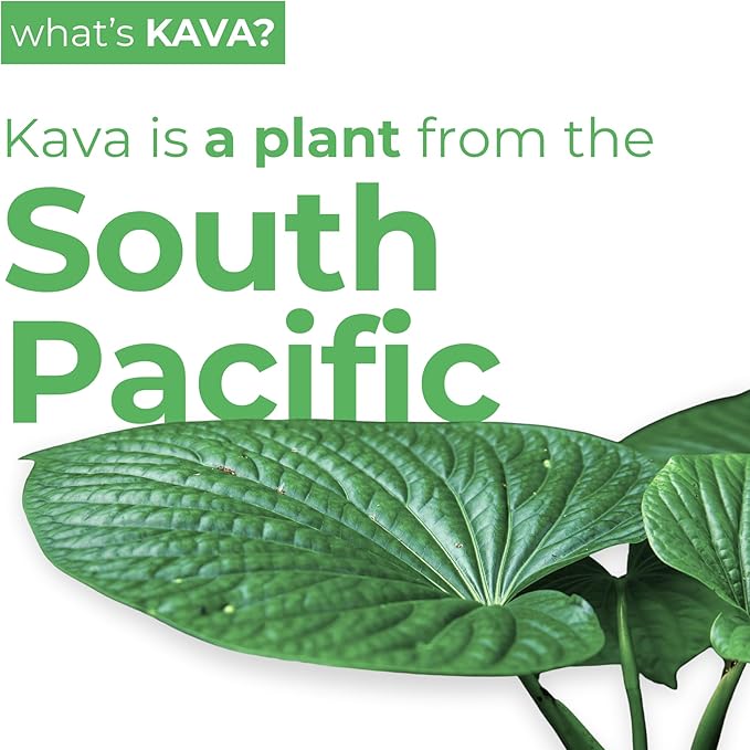 LEILO | Kava Powered Sparkling Relaxation Drink | Variety Sampler 6-Pack – Non-ALC Calming Beverage – Includes (3) Classic & (3) Mocktail Flavors | 12 fl oz Cans (Pack of 6)