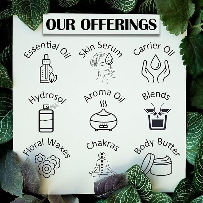 Pure Nirgundi Oil (Vitex negundo Linn) 15ml (0.50 oz)