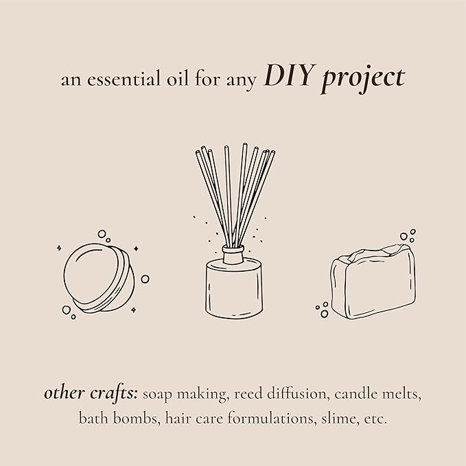 P&J Fragrance Oil Holiday Set | Mistletoe, Candy Cane, Wintermint, Apple Cider, Cranberry, and Forest Pine Candle Scents for Candle Making, Freshie Soap Making Supplies, Diffuser Oil Scents