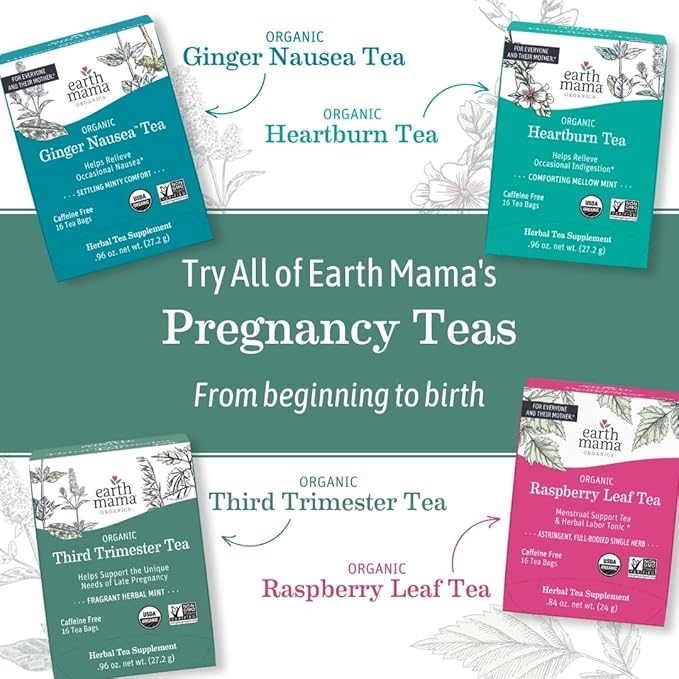 Earth Mama Organic Heartburn Tea | Pregnancy-Safe Soothing Herbal Blend with Marshmallow Root, Lemon Balm & Chamomile, 16 Teabags Per Box