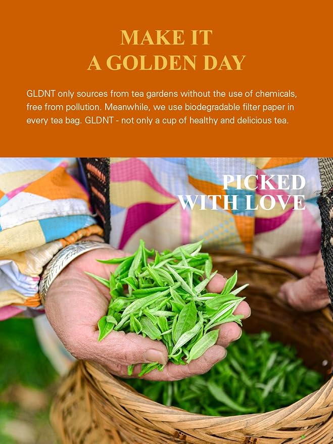 GLDNT Organic Oolong Tea Bags, Natural Organic Oolong Tea, Caffeinated, Hot & Iced Tea, 100 Count