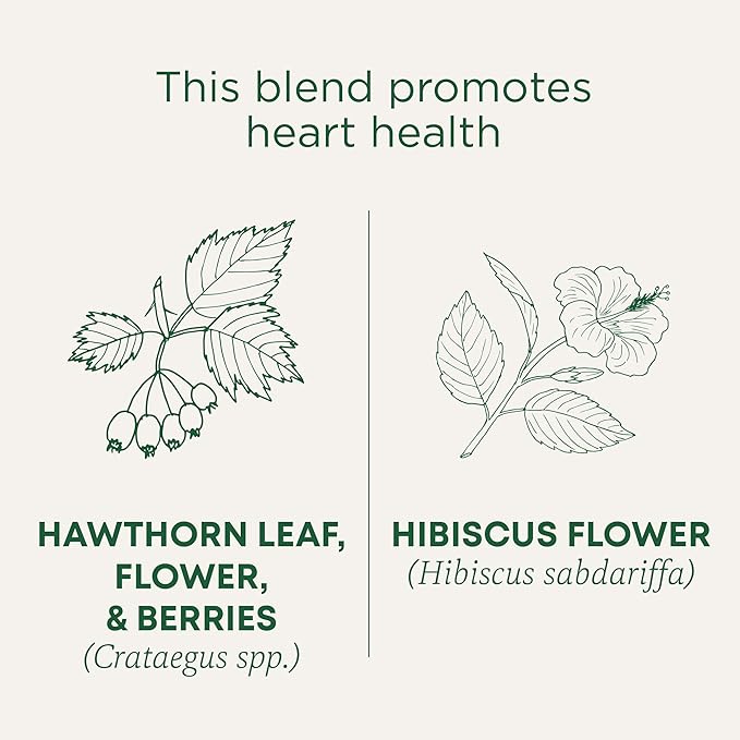 Traditional Medicinals Tea, Organic Hawthorn & Hibiscus, Promotes Heart Health, 16 Tea Bags