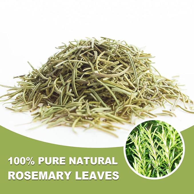 TEARELAE - Rosemary Tea - 1.5g x 50 Count - 100% Pure Rosemary Leaves Tea Bag - Country of Origin Egypt - Aid Digestion & Support Respiratory Health