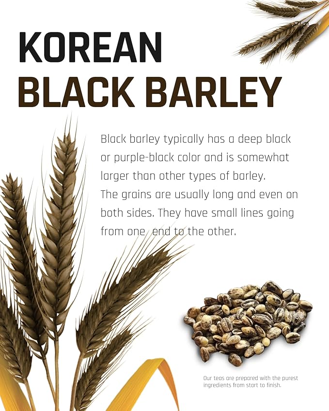 Ssanggye Black Barley Tea 1.2g x 40 Tea Bags, Premium Korean Herbal Tea Hot Cold Grain Soft Deep Nutty Taste Teabag Loose Leaf 4 Seasons Made in Korea