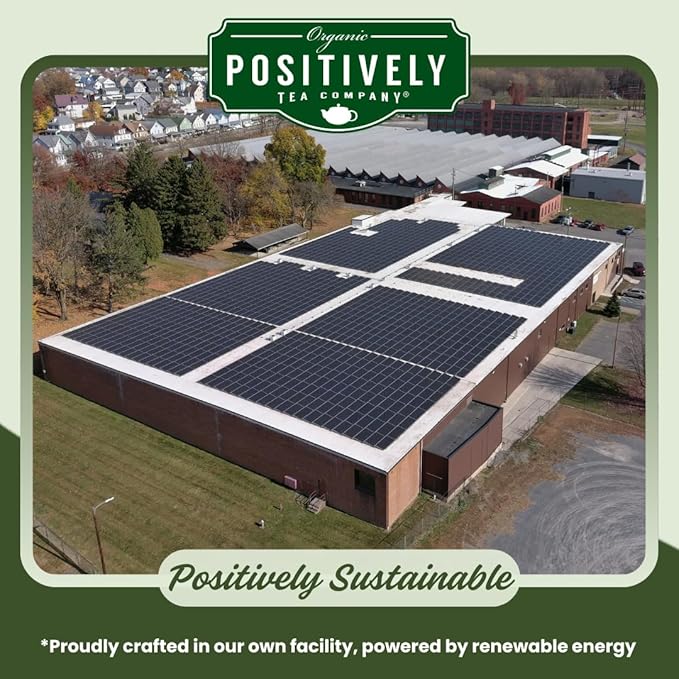 Organic Positively Tea Company, Spearmint Green Tea Bags, 20 Count